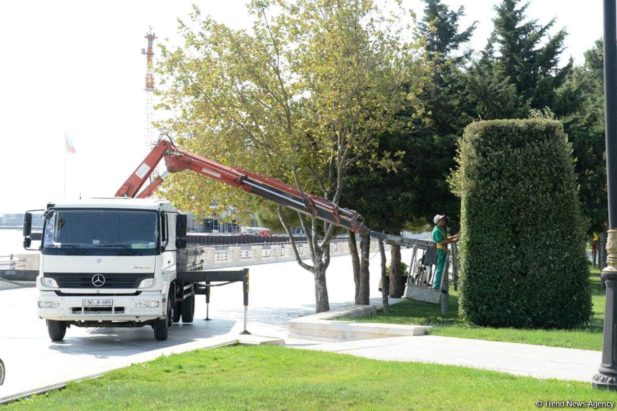 Bakı bulvarının görünməyən həyatı – unikal kadrlar (ÖZƏL) (FOTO)