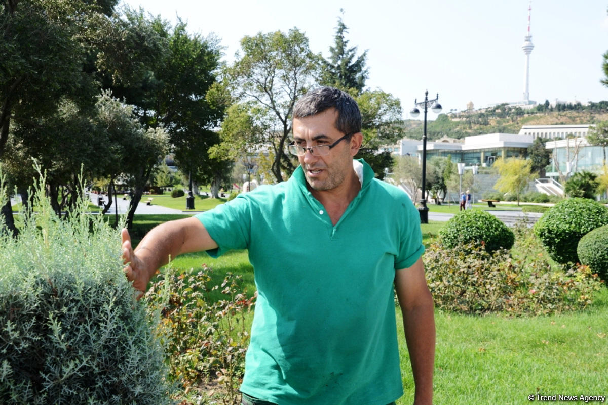 Bakı bulvarının görünməyən həyatı – unikal kadrlar (ÖZƏL) (FOTO)
