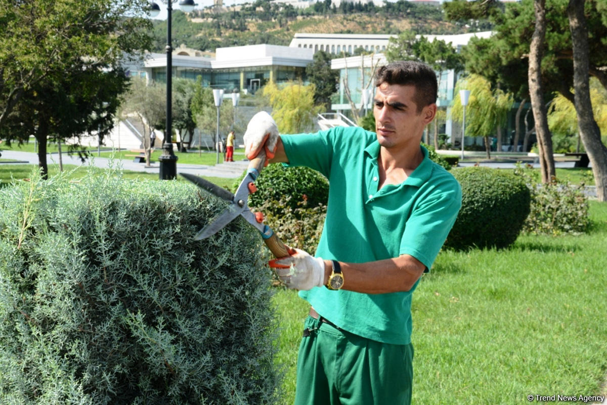 Bakı bulvarının görünməyən həyatı – unikal kadrlar (ÖZƏL) (FOTO)
