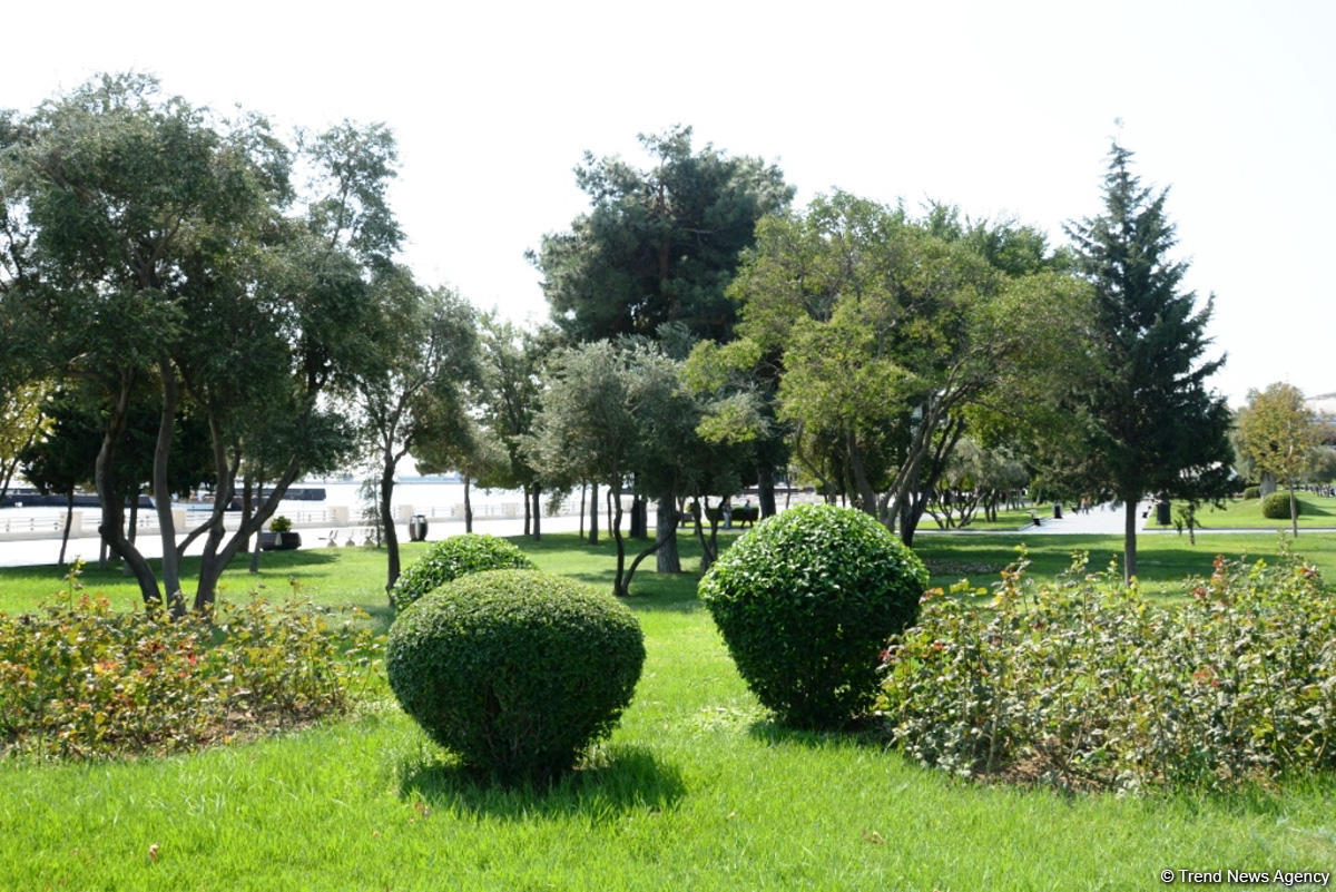 Bakı bulvarının görünməyən həyatı – unikal kadrlar (ÖZƏL) (FOTO)