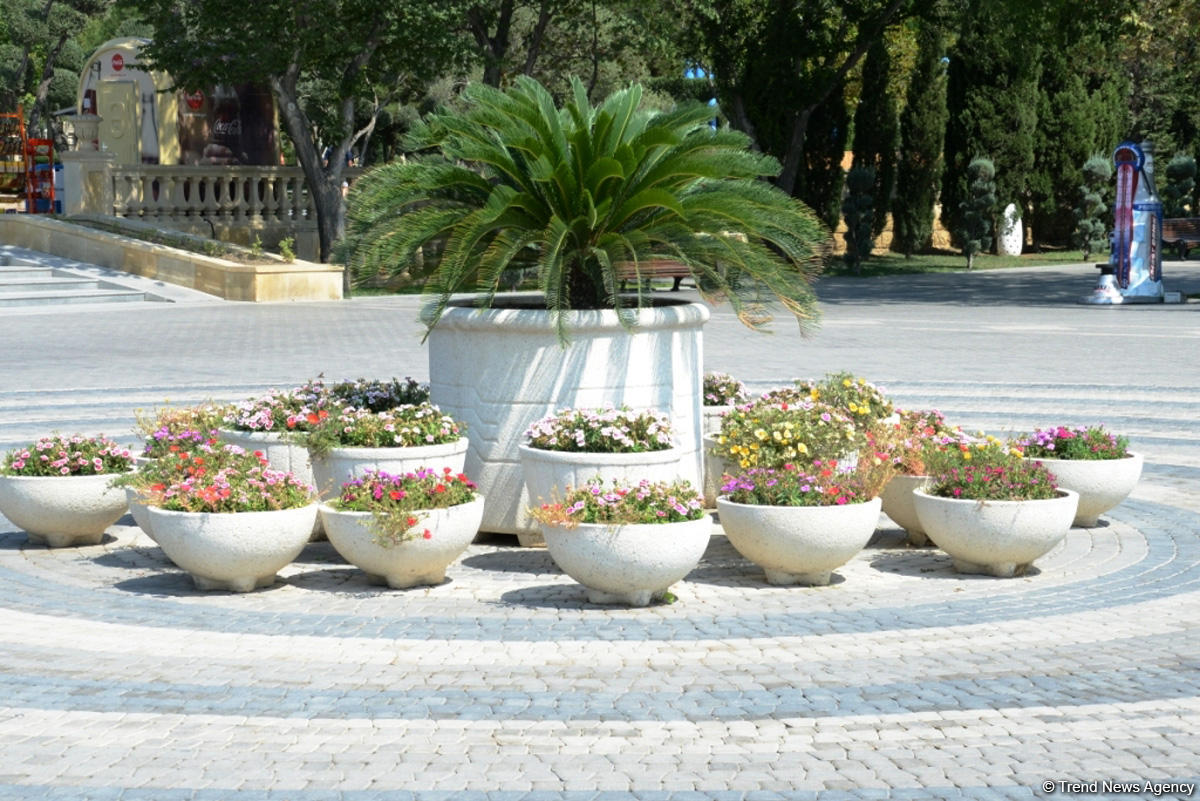 Bakı bulvarının görünməyən həyatı – unikal kadrlar (ÖZƏL) (FOTO)