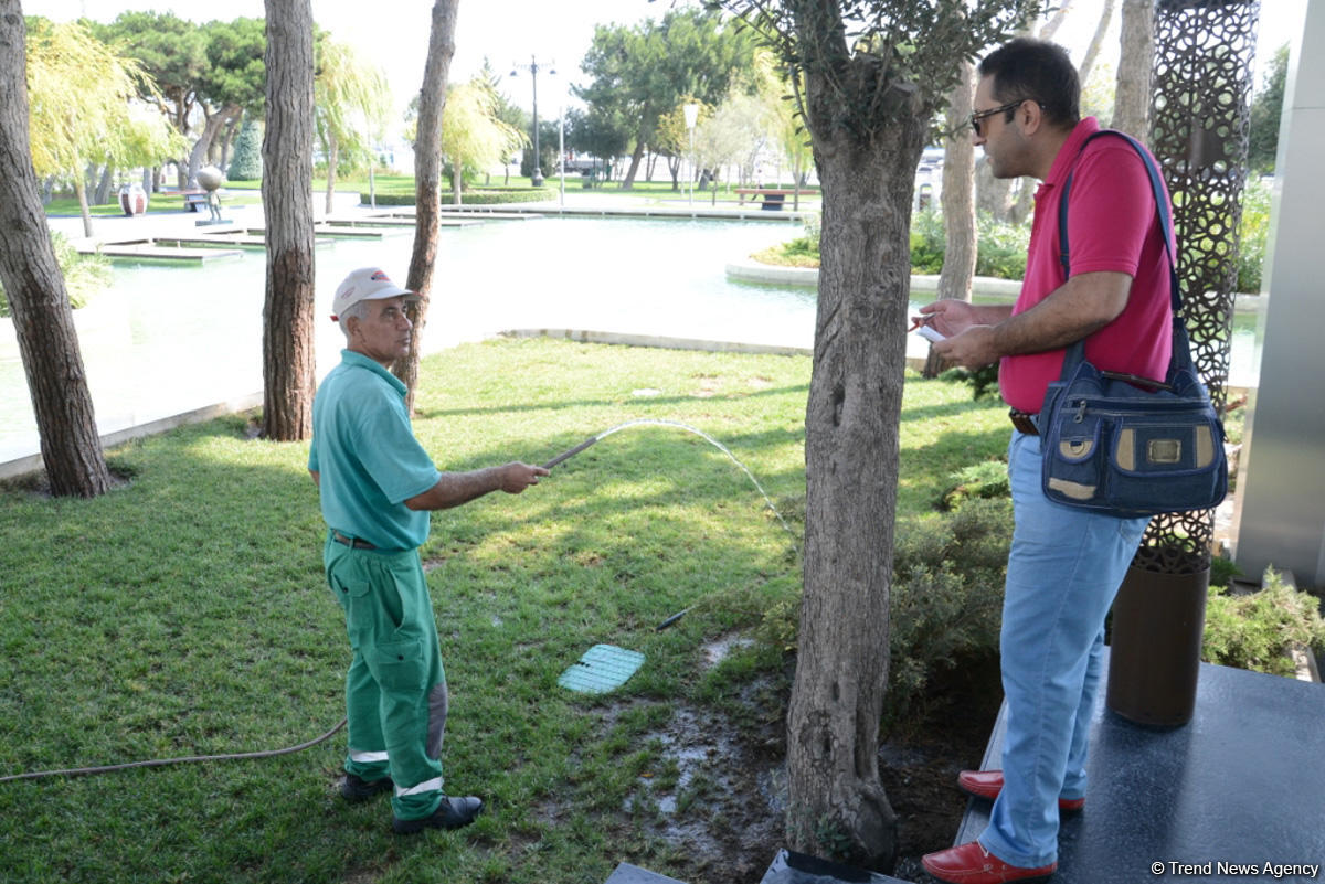 Bakı bulvarının görünməyən həyatı – unikal kadrlar (ÖZƏL) (FOTO)