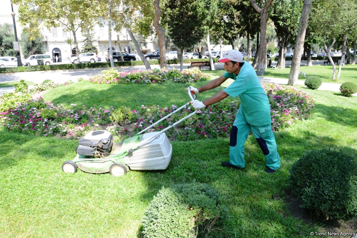 Bakı bulvarının görünməyən həyatı – unikal kadrlar (ÖZƏL) (FOTO)