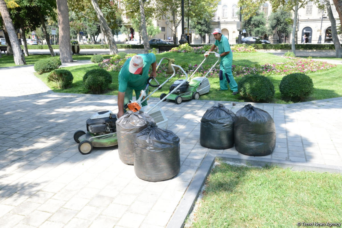 Bakı bulvarının görünməyən həyatı – unikal kadrlar (ÖZƏL) (FOTO)
