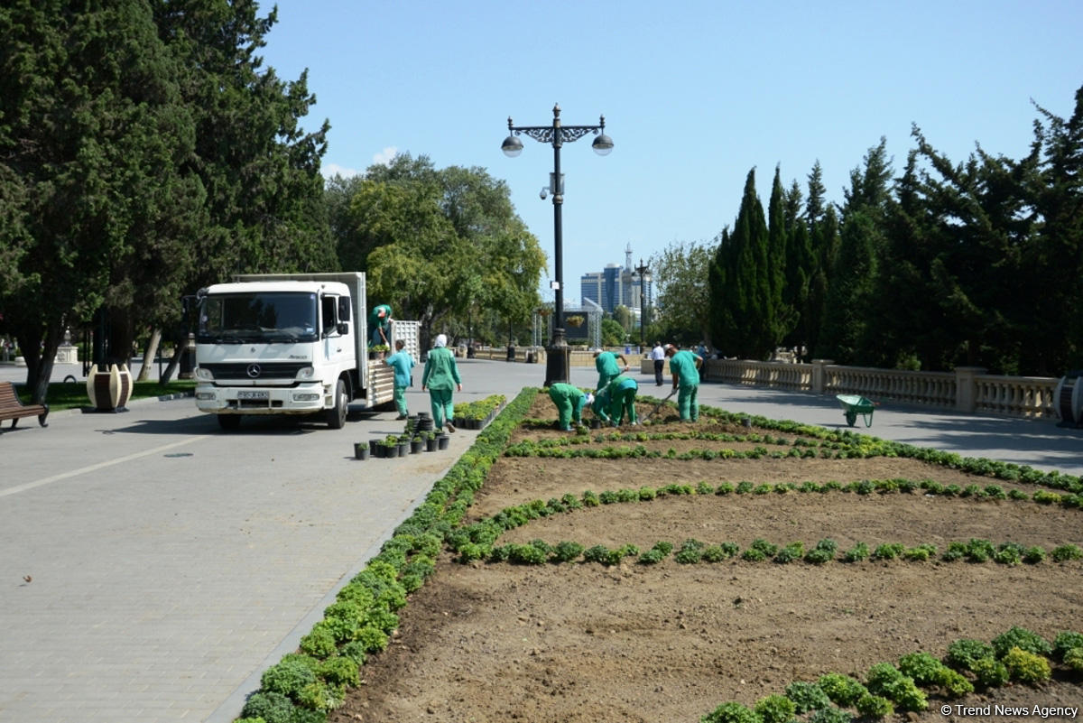 Bakı bulvarının görünməyən həyatı – unikal kadrlar (ÖZƏL) (FOTO)