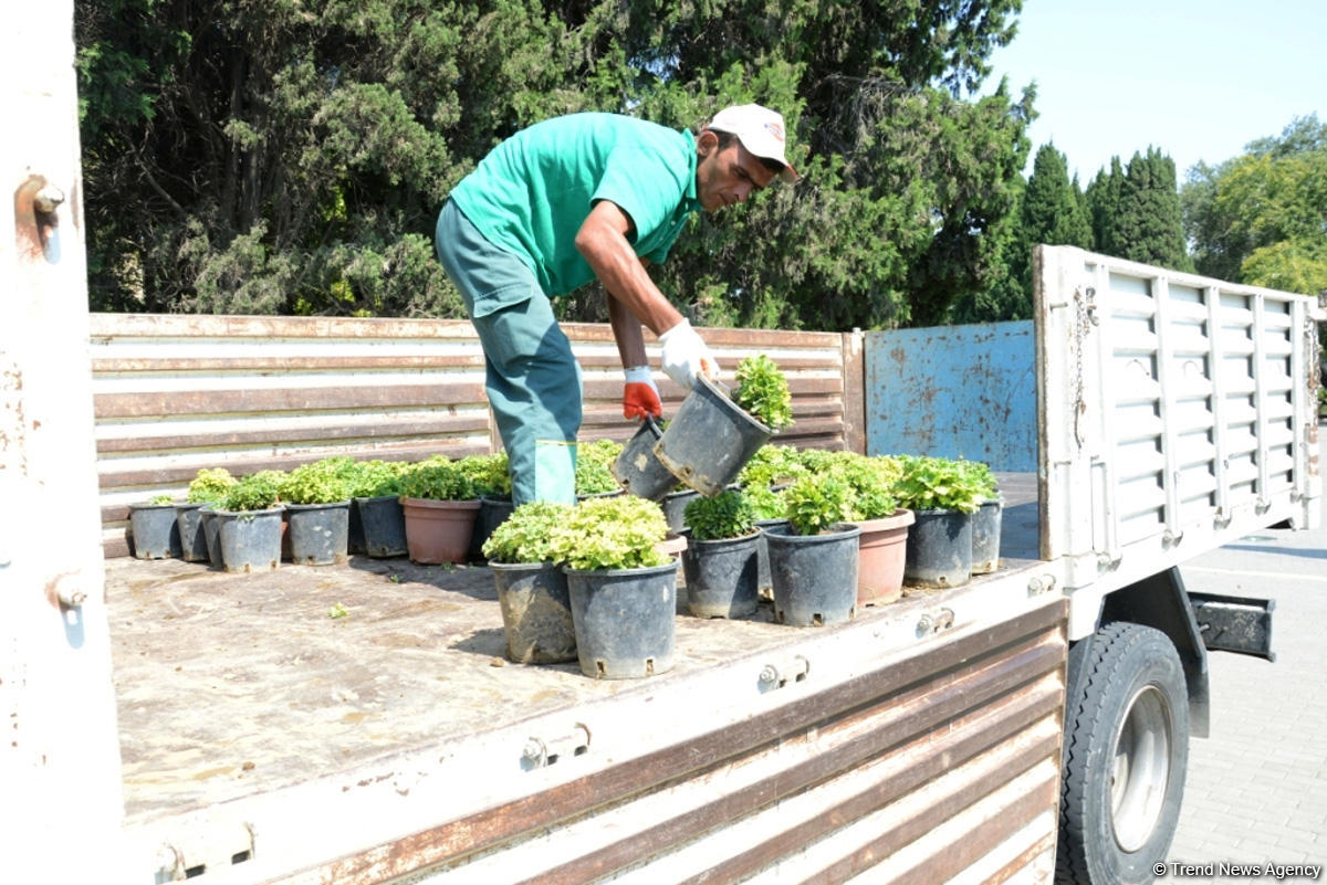 Bakı bulvarının görünməyən həyatı – unikal kadrlar (ÖZƏL) (FOTO)