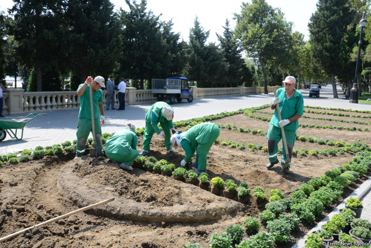 Bakı bulvarının görünməyən həyatı – unikal kadrlar (ÖZƏL) (FOTO)