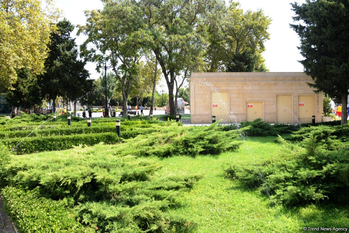 Bakı bulvarının görünməyən həyatı – unikal kadrlar (ÖZƏL) (FOTO)