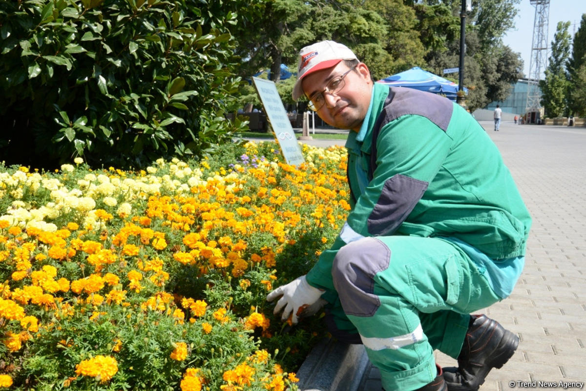 Bakı bulvarının görünməyən həyatı – unikal kadrlar (ÖZƏL) (FOTO)