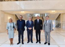 Prezident İlham Əliyev Avropa Parlamentinin vitse-prezidentini qəbul edib (FOTO)