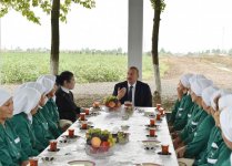 Prezident İlham Əliyev Sabirabadda pambıq sahəsi ilə tanış olub (FOTO) (YENİLƏNİB)