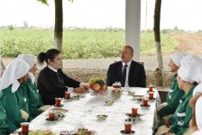 Prezident İlham Əliyev Sabirabadda pambıq sahəsi ilə tanış olub (FOTO) (YENİLƏNİB)