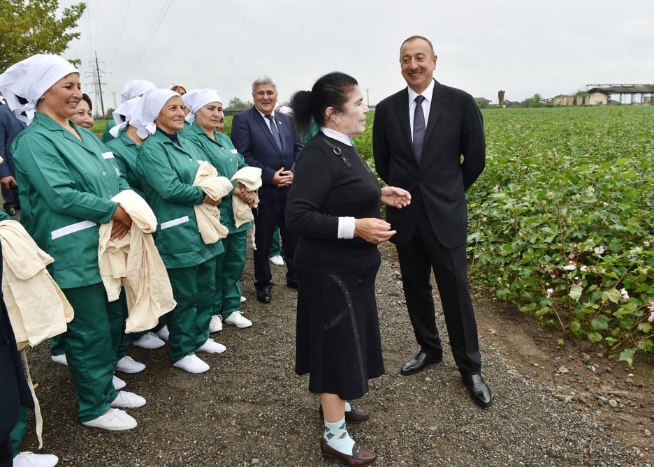 Prezident İlham Əliyev Sabirabadda pambıq sahəsi ilə tanış olub (FOTO) (YENİLƏNİB)