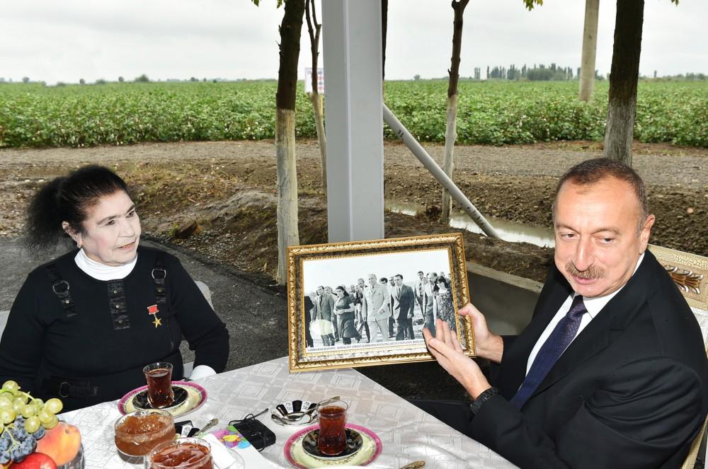 Prezident İlham Əliyev Sabirabadda pambıq sahəsi ilə tanış olub (FOTO) (YENİLƏNİB)