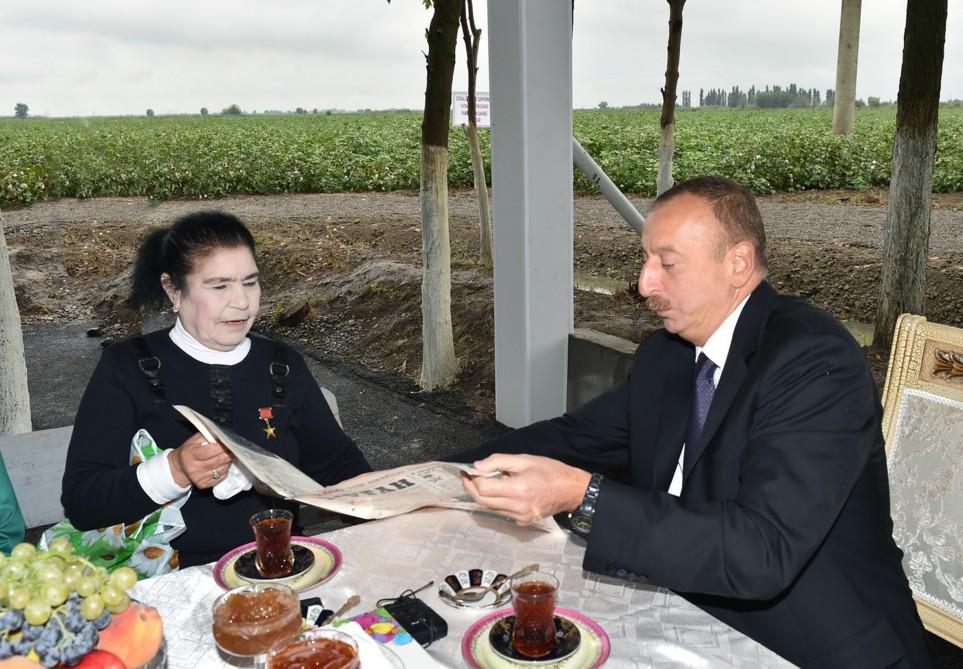Prezident İlham Əliyev Sabirabadda pambıq sahəsi ilə tanış olub (FOTO) (YENİLƏNİB)