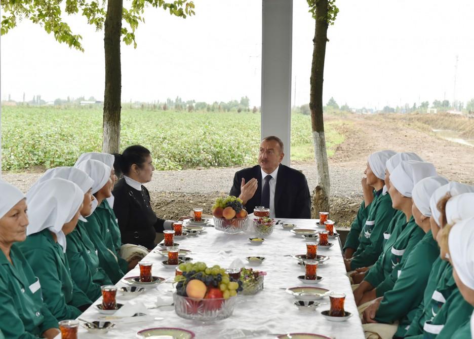 Prezident İlham Əliyev Sabirabadda pambıq sahəsi ilə tanış olub (FOTO) (YENİLƏNİB)