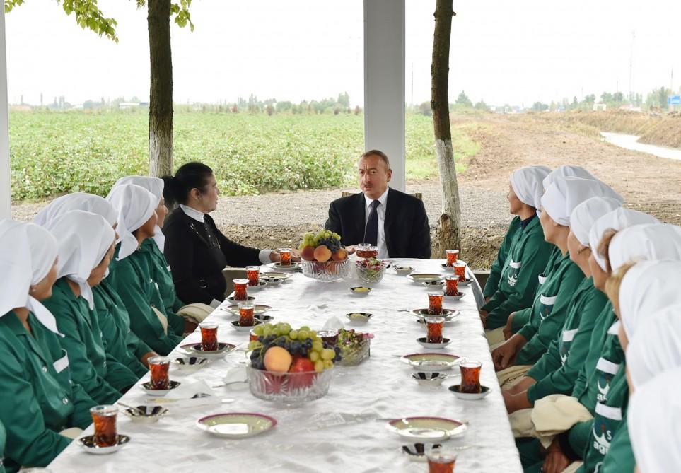 Prezident İlham Əliyev Sabirabadda pambıq sahəsi ilə tanış olub (FOTO) (YENİLƏNİB)