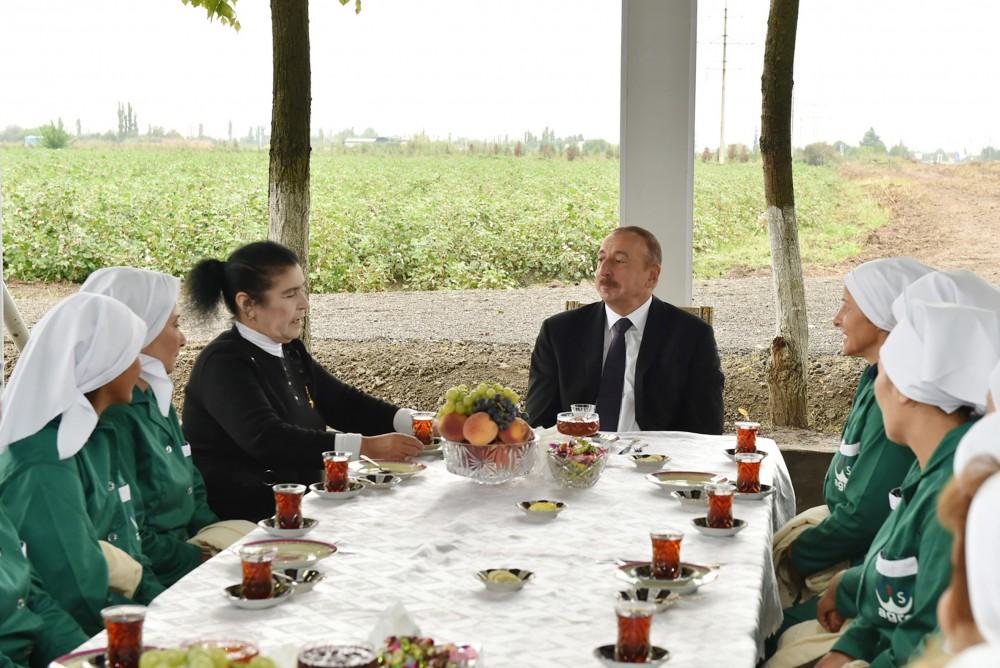 Prezident İlham Əliyev Sabirabadda pambıq sahəsi ilə tanış olub (FOTO) (YENİLƏNİB)