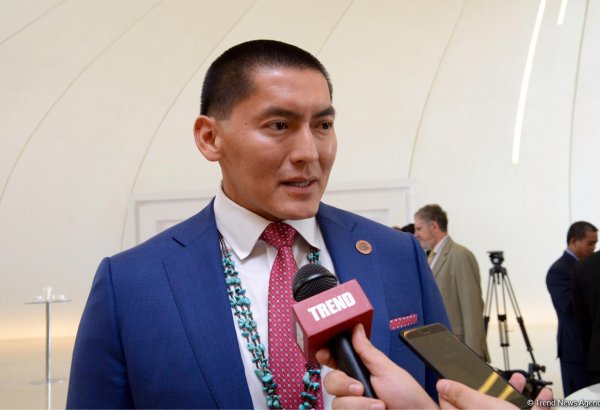 Arizonalı senator: Azərbaycan regionda çiçəklənmənin nümunəsidir