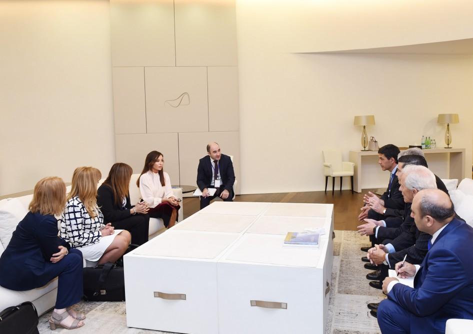 Mehriban Əliyeva Argentina Milli Konqresinin Deputatlar Palatasının nümayəndə heyəti ilə görüşüb (FOTO)