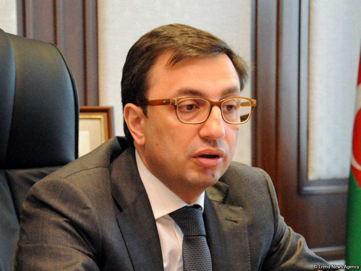 Rüfət Aslanlı: Hökumət yeni iqtisadi model üzərində çalışır