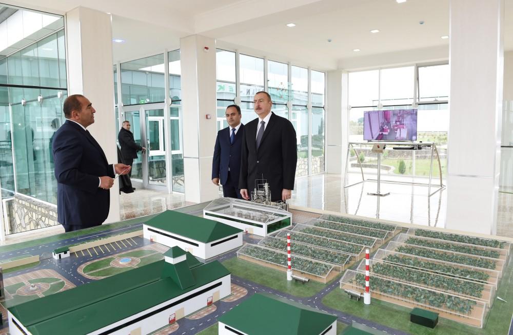 Prezident İlham Əliyev: Rayon rəhbərliyi sahibkarları cəlb etməlidir və onların fəaliyyətinə buna görə qiymət veriləcək (FOTO)