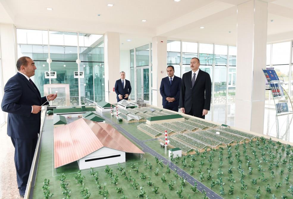Prezident İlham Əliyev: Rayon rəhbərliyi sahibkarları cəlb etməlidir və onların fəaliyyətinə buna görə qiymət veriləcək (FOTO)