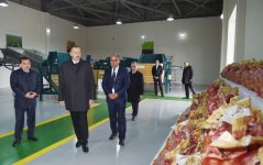 Prezident İlham Əliyev: Biz dünya miqyasında kənd təsərrüfatı məhsullarını ixrac edən önəmli ölkəyə çevriləcəyik (FOTO)