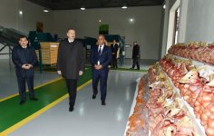Prezident İlham Əliyev: Biz dünya miqyasında kənd təsərrüfatı məhsullarını ixrac edən önəmli ölkəyə çevriləcəyik (FOTO)