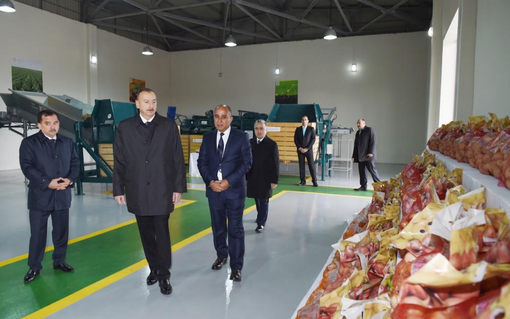 Prezident İlham Əliyev: Biz dünya miqyasında kənd təsərrüfatı məhsullarını ixrac edən önəmli ölkəyə çevriləcəyik (FOTO)