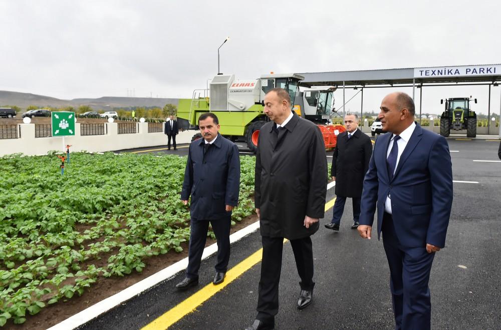 Prezident İlham Əliyev: Biz dünya miqyasında kənd təsərrüfatı məhsullarını ixrac edən önəmli ölkəyə çevriləcəyik (FOTO)