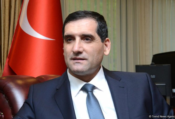 Səfir: Türkiyə Gülən hərəkatı ilə mübarizədə Azərbaycanın dəstəyini yüksək qiymətləndirir