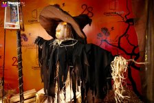 "CinemaPlus"da "Halloween" festivalı keçirilib  (FOTO/VİDEO)