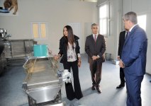 Leyla Əliyeva  IDEA İctimai Birliyinin Heyvanlara Qayğı Mərkəzinin açılışında iştirak edib (FOTO)