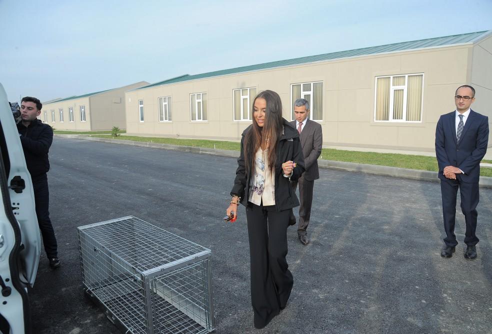 Leyla Əliyeva  IDEA İctimai Birliyinin Heyvanlara Qayğı Mərkəzinin açılışında iştirak edib (FOTO)