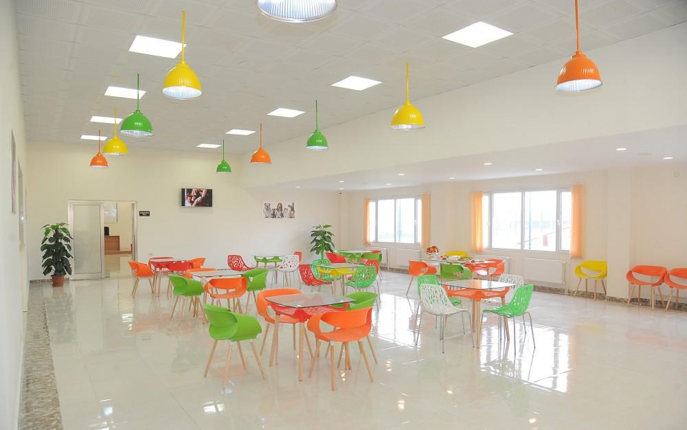 Leyla Əliyeva  IDEA İctimai Birliyinin Heyvanlara Qayğı Mərkəzinin açılışında iştirak edib (FOTO)