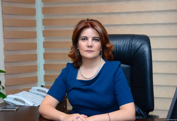 Vüsalə Mahirqızı: Media ilə sosial şəbəkələrin çox ciddi əməkdaşlıq etməsi artıq qaçılmazdır (MÜSAHİBƏ)