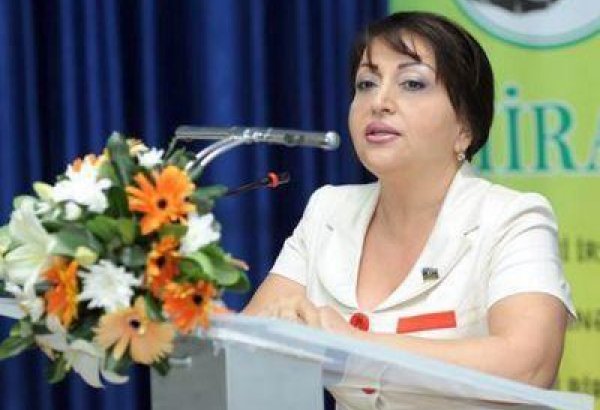Deputat: Növbəti peykin orbitə çıxarılması Azərbaycanın daha da inkişafına, təhlükəsizliyinin təmin olunmasına xidmət edəcək