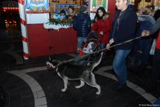 "Soyuq Əllər, İsti Ürək" xeyriyyə yarmarkası açılıb (FOTO)