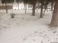 Bakının qar payı (FOTO)