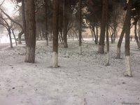 Bakının qar payı (FOTO)