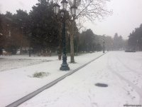 Bakının qar payı (FOTO)