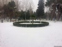 Bakının qar payı (FOTO)