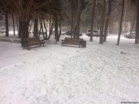 Bakının qar payı (FOTO)