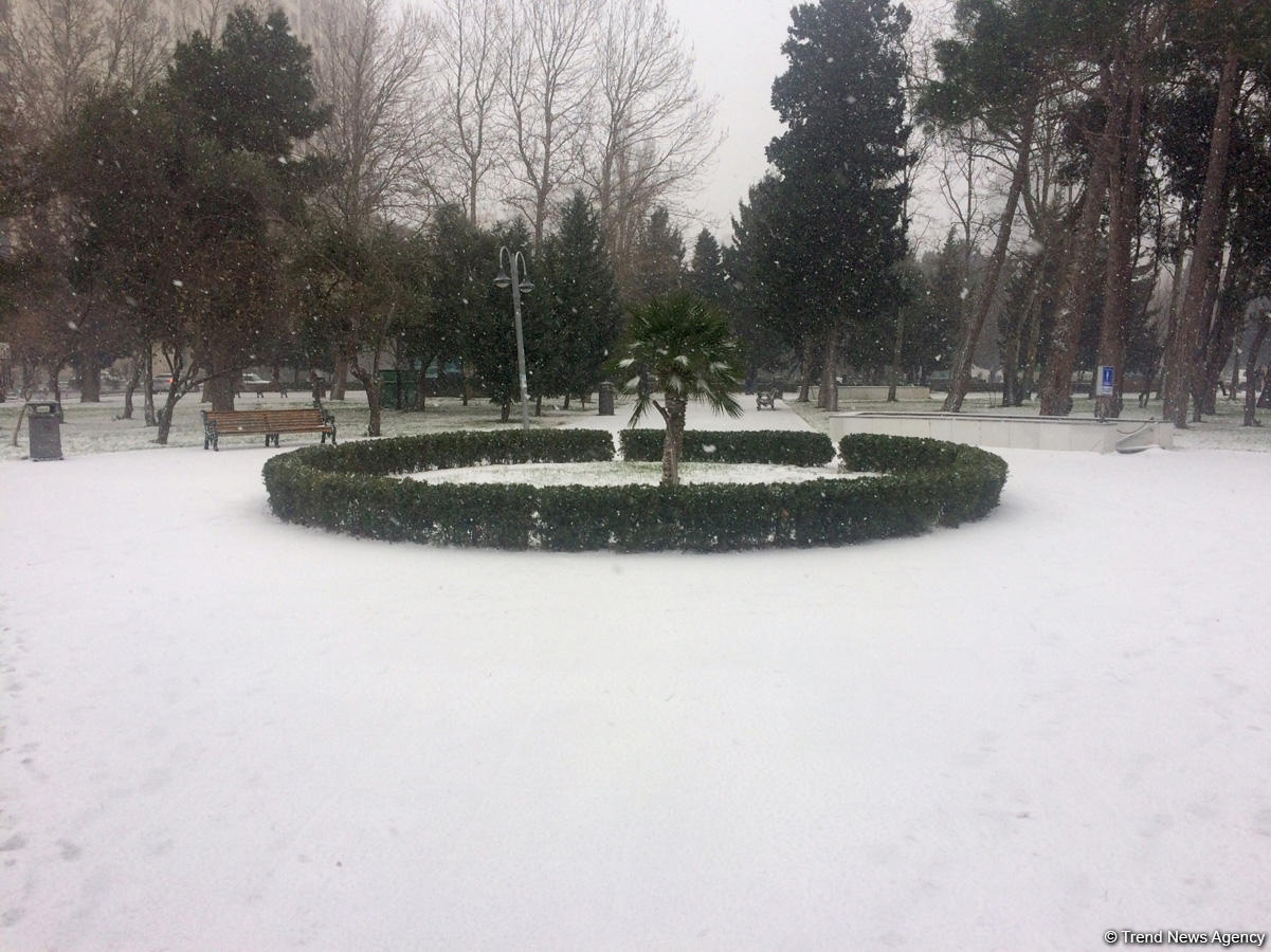 Bakının qar payı (FOTO)
