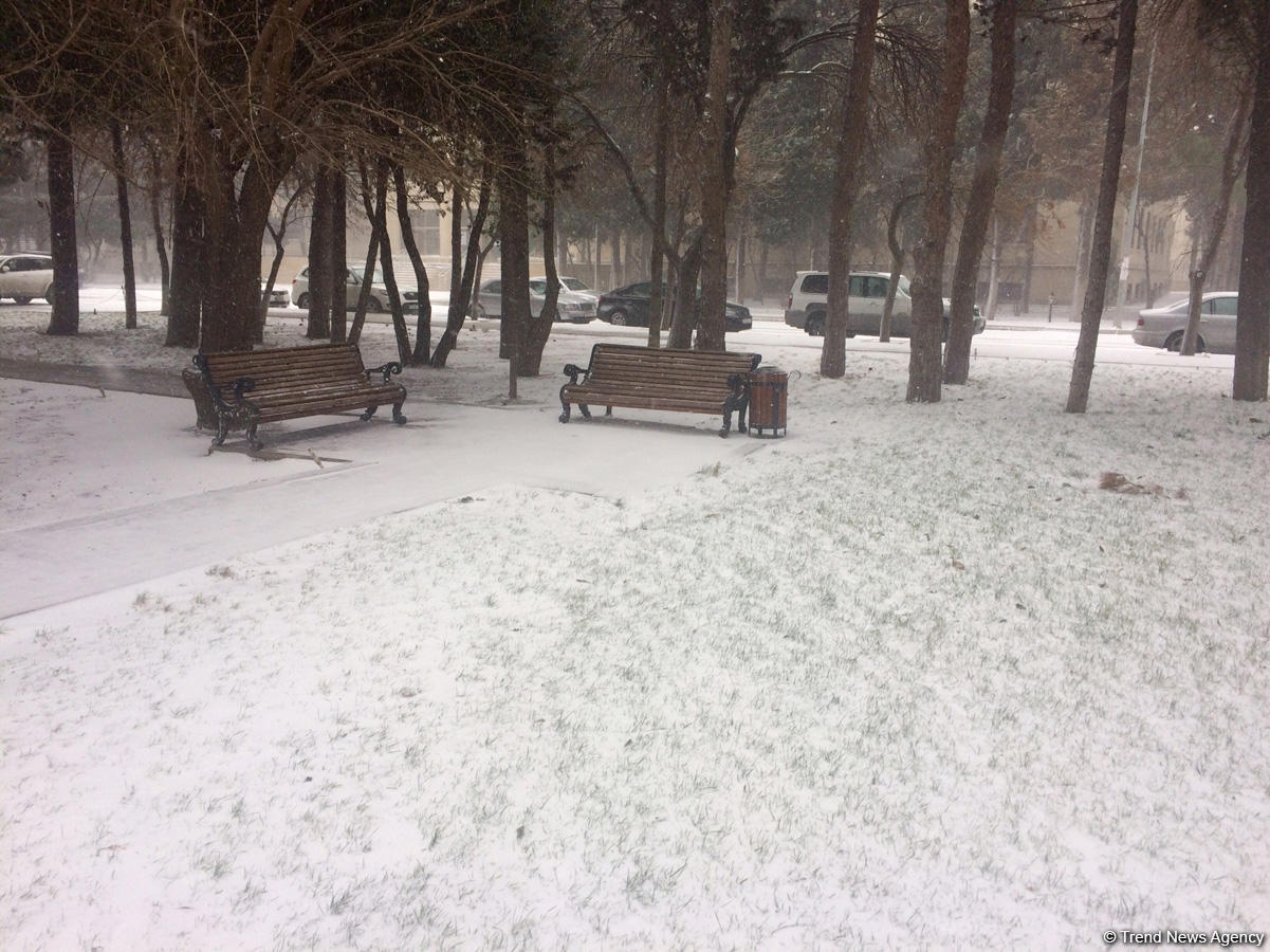 Bakının qar payı (FOTO)