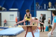 İlin son gimnastika yarışı başladı (FOTO)