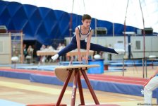 İlin son gimnastika yarışı başladı (FOTO)