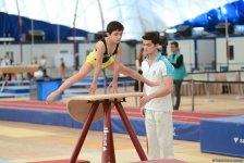 İlin son gimnastika yarışı başladı (FOTO)