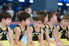 İlin son gimnastika yarışı başladı (FOTO)